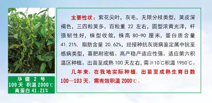 华疆2号.jpg