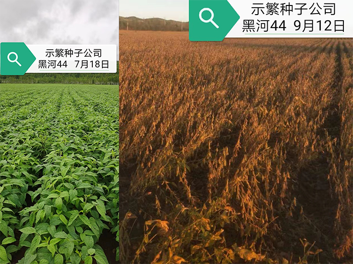 未标题-1.jpg