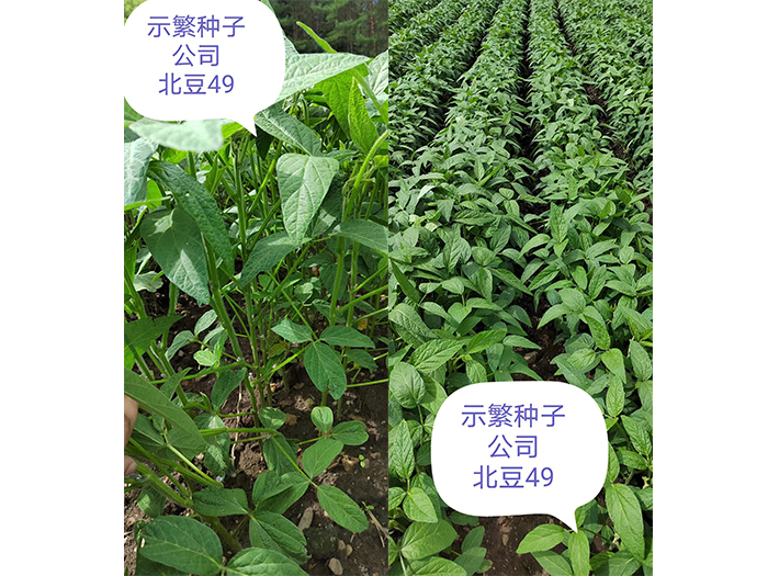 未标题-1.jpg